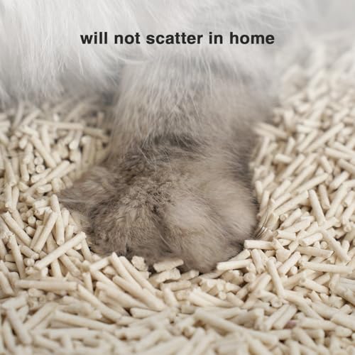 Dust Free Quickly Absorb Odors Natural Tofu Cat Litter 24LB