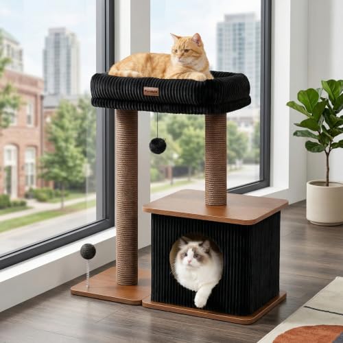 Small Cat Tree for Indoor Kittens (Walnut Finish / Medium)