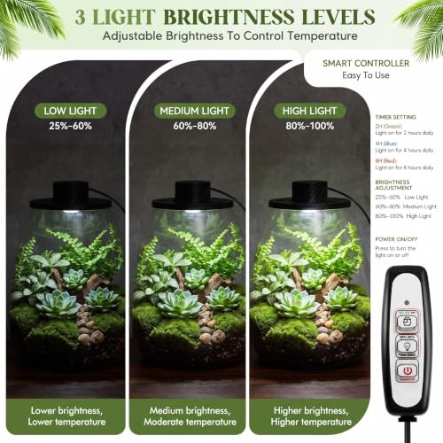 Glass Terrarium Kit with LED Grow Light for Desktop (6.9 x 7.8 Inch)