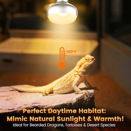 Dual Reptile Light Fixture with 100W Daytime Heat Bulb & 100W Nighttime Ceramic Heat Emitter (ST1)