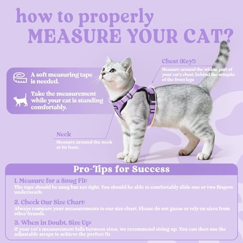 Cat Harness and Leash Set (Xxs / Light Purple)