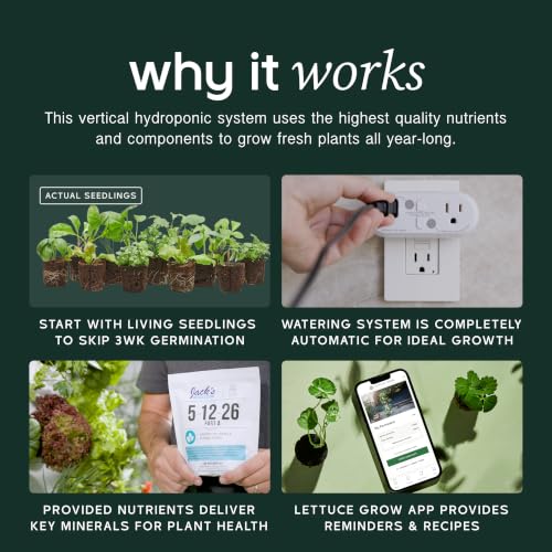 Farmstand Indoor Starter Kit (24 Seedlings / Indoor With Seedlings)