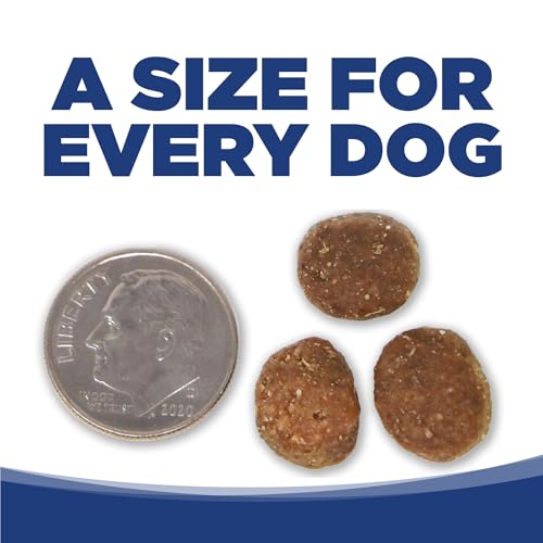 Dry Dog Food Trout and Rice (4 Pound (Pack of 1))