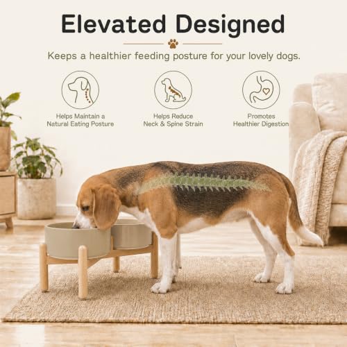 Ceramic Dog Bowls Elevated (Greige)