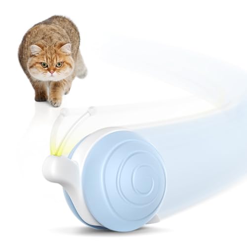 Interactive Cat Toy for Indoor Cats (Blue)