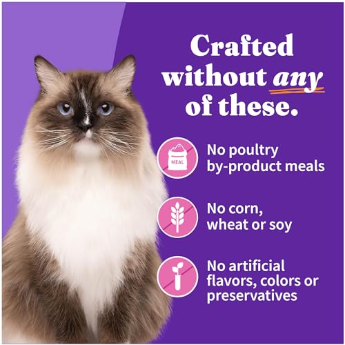 Pate Wet Cat Food