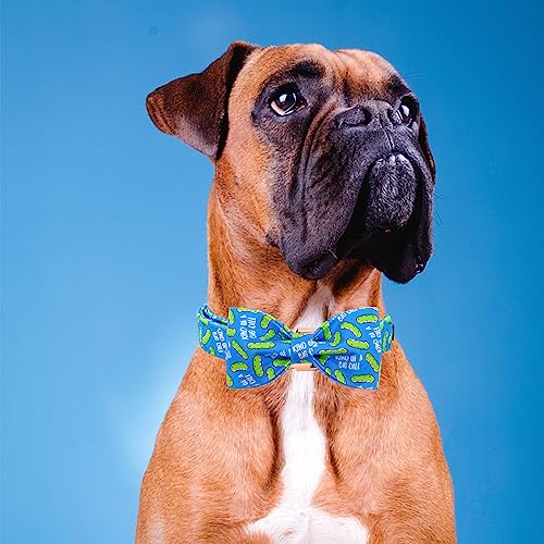 Dog Collar with Bow Tie (Dill Pickles / Small (Pack of 1))