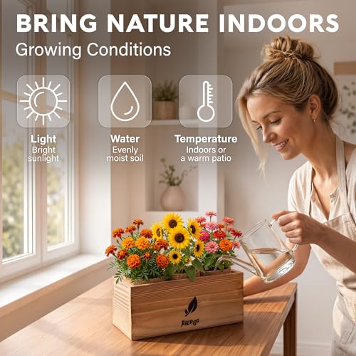 Sunflower Marigold & Zinnia Flower Seeds Growing Kit