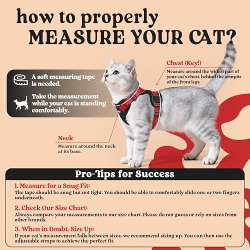 Cat Harness and Leash Set (Xxs / Black & Red)