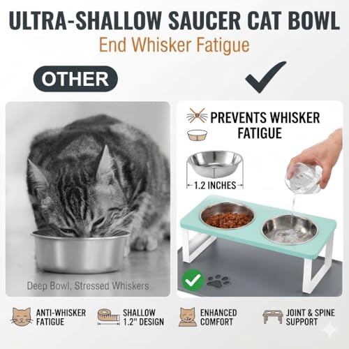 Upgraded Elevated Cat Bowls with Food Mat