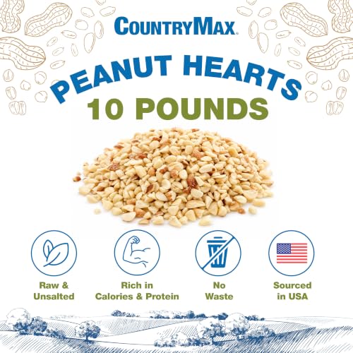 Backyard Seeds Peanut Hearts for Wild Birds 10 Pounds (10 Pound (Pack of 1) / Peanut Hearts)