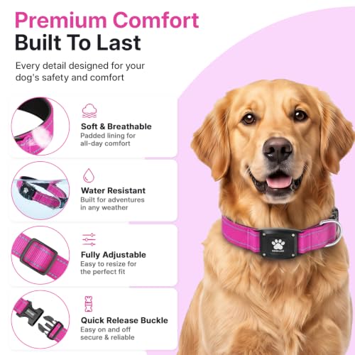 GPS Dog Collar with Tracker (Hot Pink / L(16.5''-23.5''))