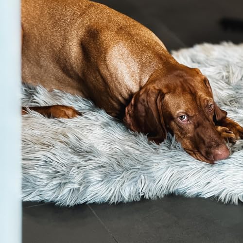 Faux Fur Orthopedic Dog Bed (Grey / Large/Extra Large)