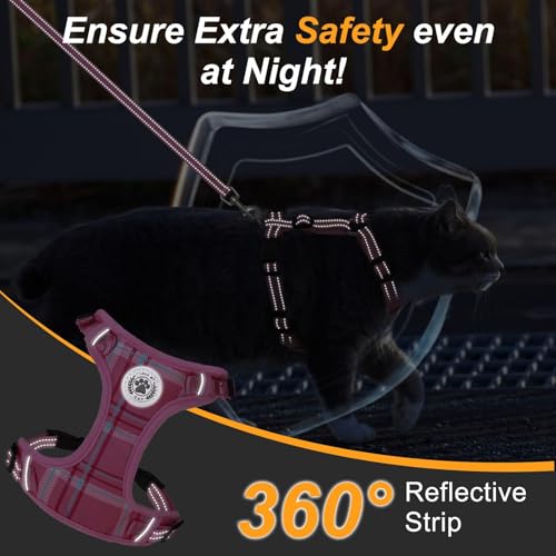 Cat Harness and Leash Set (Pink / S (Chest: 11 - 16"))