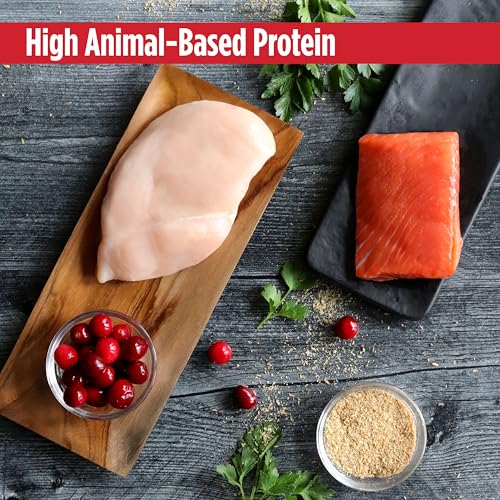 Freestyle Freeze (1 Pound (Pack of 1))