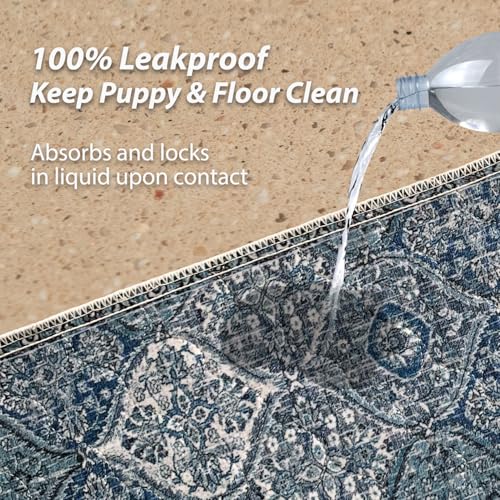 4PACK Washable Pee Pads for Dogs (24x36 Inch (Pack of 4) / Blue/Multi)