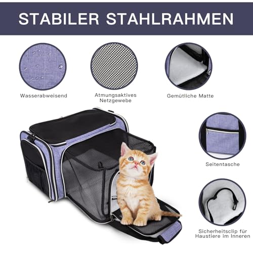 Cat Carrier Bag (Purple / 17.5"L x 12.0"W x 11.5"H)