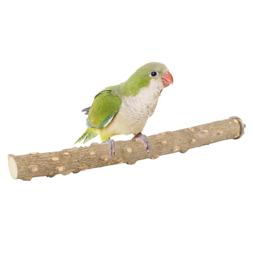 Natural Prickly Ash Wood Perch Bird Paw Grinding Stand (11.79 inch)