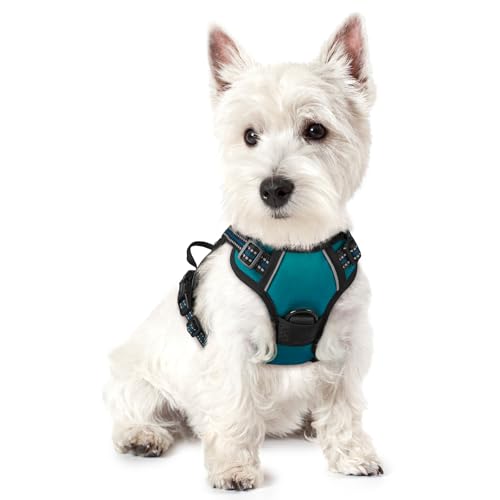 Dog Harness No Pull for Small Dogs with 2 Leash Clips (X-Small / Blue Coral)