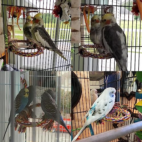 7" Bird Mirror with Rope Perch (Medium)