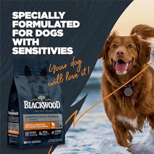 Sensitive Premium Dry Dog Food (Lamb Meal & Brown Rice with Ancient Grains / 4.5 Pound (Pack of 1))