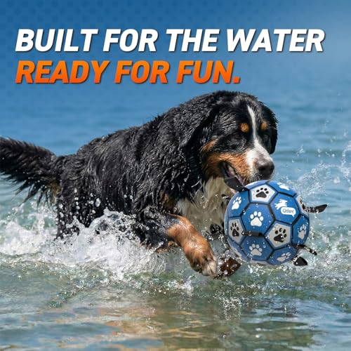 Extra Large Dog Toy Soccer Ball (Blue Gray / Extra Large Size 5 (9 Inch))