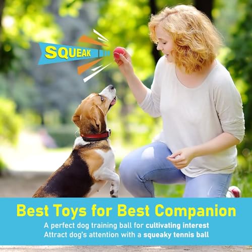 Dog Tennis Balls 4 Pack (2" Squeaky / 4 Pack, 4 Colors)