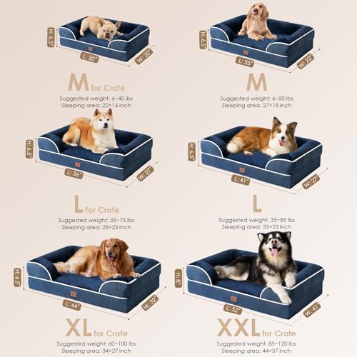 Orthopedic Dog Beds Large Sized Dog (Navy / 36.0"l X 27.0"w X 6.5"th)