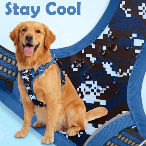 Dog Harness No Pull (Mosaic Blue / Small)