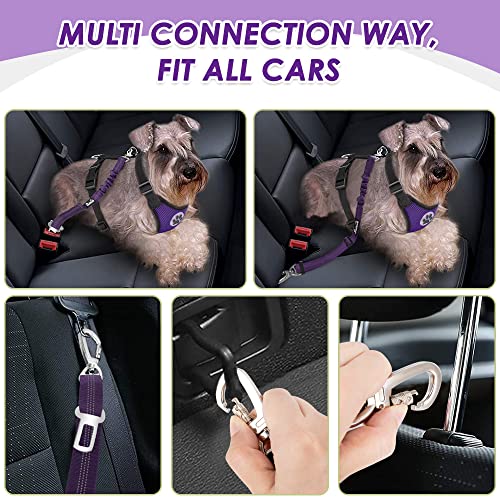 Dog Car Harness Seat Belt (Medium / Purple)