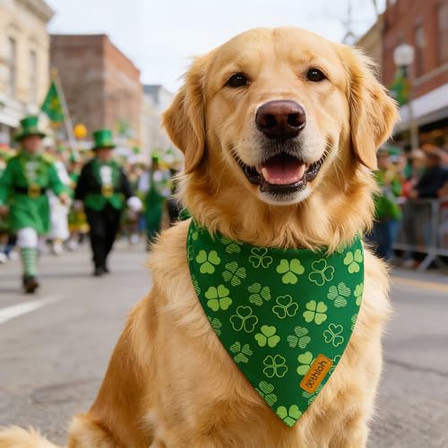 St. Patrick's Day Dog Bandana (X-Large / St. Patrick's Day-Green)