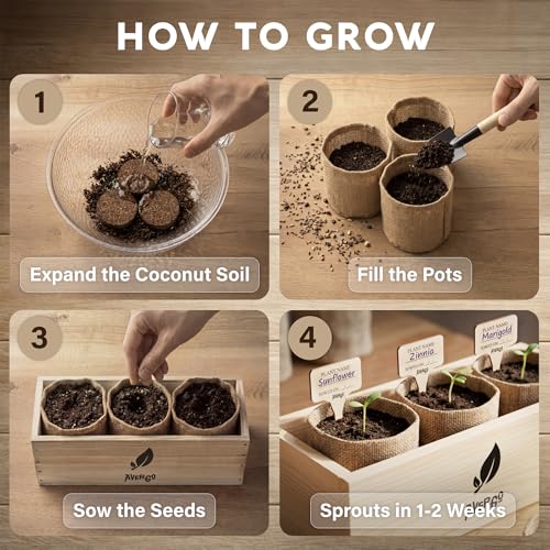 Sunflower Marigold & Zinnia Flower Seeds Growing Kit