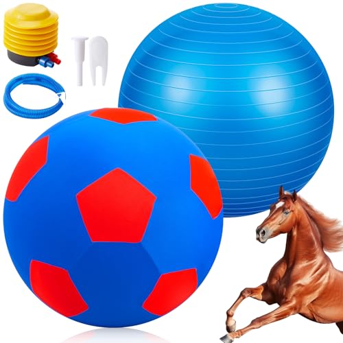 Giant 30 Inch Herding Balls with Ball Cover (Blue / 30 Inch / Stylish)