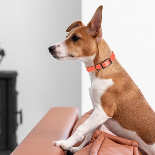 Biothane Waterproof Dog Collar Strong Coated Nylon Webbing with Black Hardware Odor (W5/8" x L12-15" / Coral)