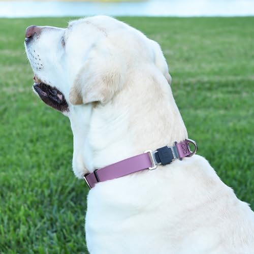 Biothane Waterproof Dog Collar with Herm Sprenger Stainless Steel Quick Release Buckle (W 1" x L 15"-25" / Amethyst Purple)