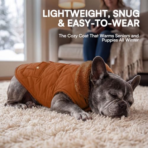 XL Warm Puffer Dog Jacket Thick Plush Lining Winter Large Coat (X-Large / Brown)