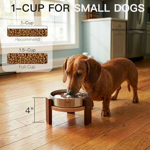 Elevated Dog Bowl Stand (4" Height 1-Cup Slow Feeder)