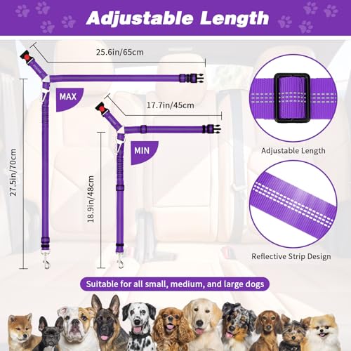 Dog Seat Belt for Car (Purple)