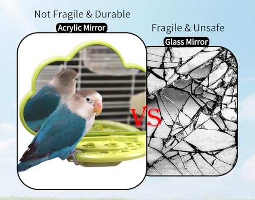 Bird Mirror Toy with Perch & Slow Feeder (Green)