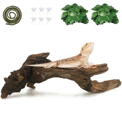 Large Bearded Dragon Driftwood for Reptile Snake Climbing Branch