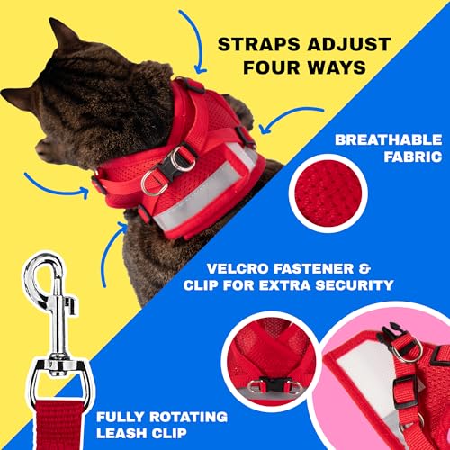 Travel Cat Harness and Leash Set (Large / Red)