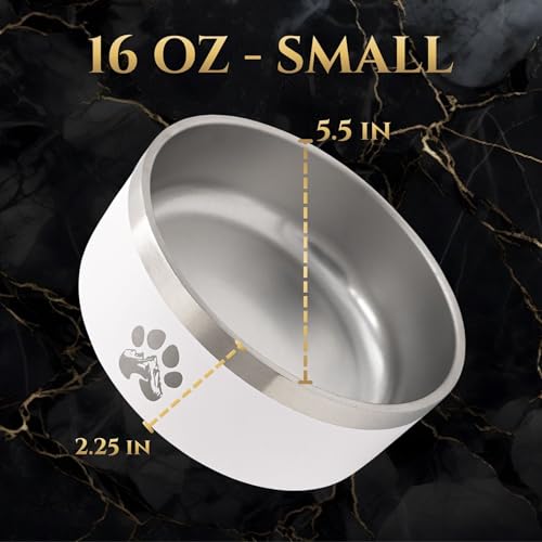 Stainless Steel Dog Bowl (Blue / 16oz)