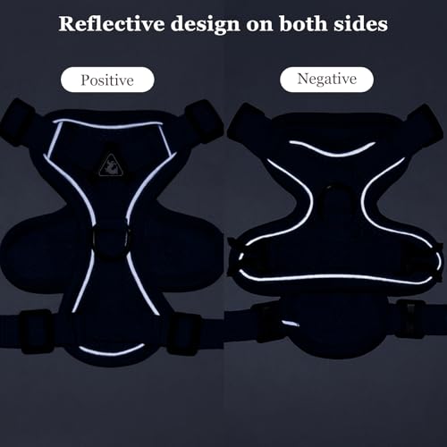 cat Chest Harness and Leash (Royal blue / L:11.02-16.5lb)