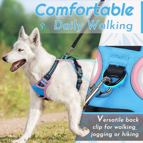 Dog Harness for Large Dogs (Large / Pink & Sky Blue)