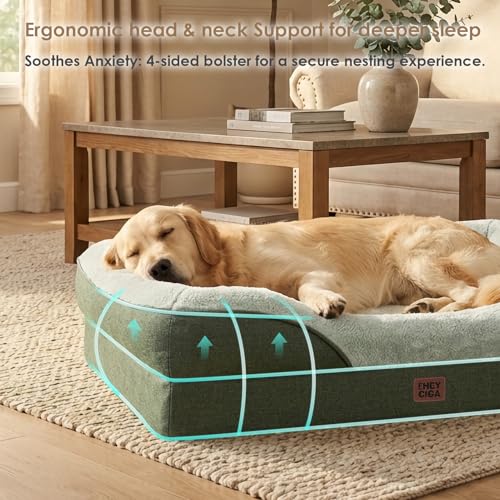Orthopedic XL Dog Bed for Large Dog (Green / 42x30x7.5)
