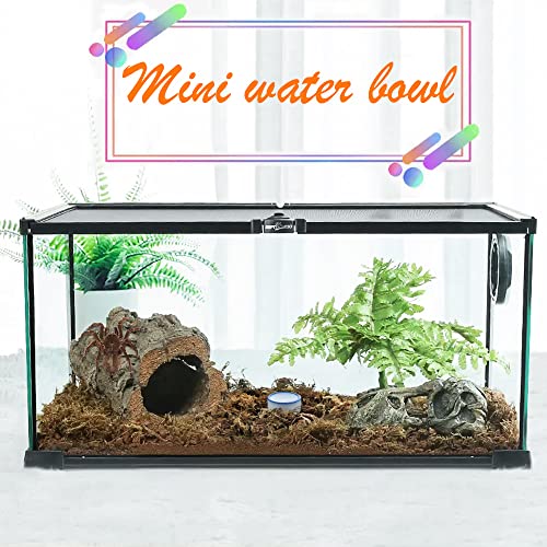 6 Pcs Spider Micro Water Bowl Mini Ceramic Dish for Spider Tarantula Millipede Tiny Reptile