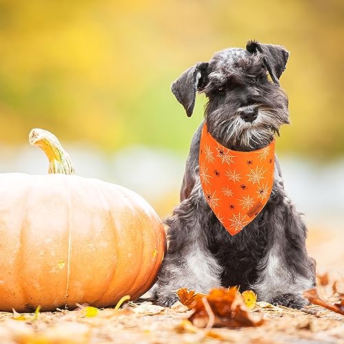 Orange Halloween Dog Bandana (Small / Orange)