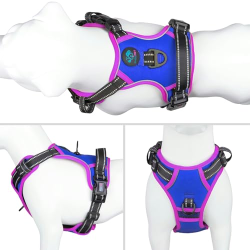 Upgraded No Pull Dog Harness (Royal Blue / Medium)
