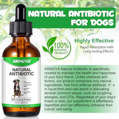 Natural Antibiotics for Dogs