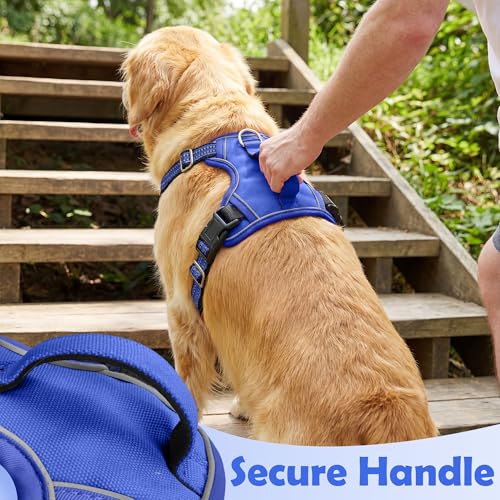 Dog Harness No Pull (Blue / X-Large)
